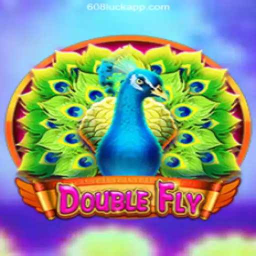 DoubleFly: Navigate the Skies with Strategy and Precision
